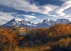 Chile, Patagonia, Park Narodowy Torres del Paine, Góry, Jesień, Drzewa