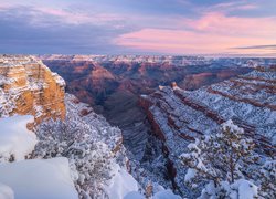 Stany Zjednoczone, Arizona, Grand Canyon, Kanion, Park Narodowy Wielkiego Kanionu, Skały, Zima, Drzewo