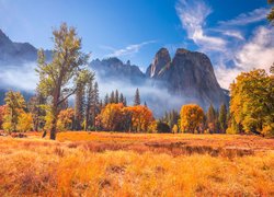 Park Narodowy Yosemite w jesiennej scenerii