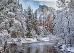 Stany Zjednoczone, Stan Kalifornia, Park Narodowy Yosemite, Zima, Rzeka Merced River, Góry, Drzewa, Las