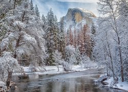 Park Narodowy Yosemite w Kalifornii