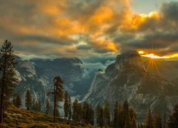 Park Narodowy Yosemite, Drzewa, Świerki, Niebo, Słońce, Promienie, Góry, Skały, Mgła, Kalifornia, Stany Zjednoczone