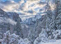 Park Narodowy Yosemite, Zima, Góry Sierra Nevada, Drzewa, Chmury, Stan Kalifornia, Stany Zjednoczone