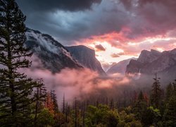 Stany Zjednoczone, Stan Kalifornia, Park Narodowy Yosemite, Góry Sierra Nevada, Mgła, Chmury, Drzewa, Zachód słońca