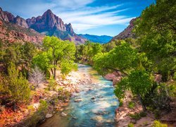 Park Narodowy Zion, Góry, Góra Watchman, Drzewa, Rzeka Virgin River, Kamienie, Chmury, Stan Utah, Stany Zjednoczone