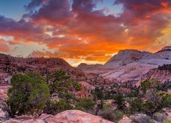 Park Narodowy Zion, Skały, Drzewa, Zachód słońca, Stan Utah, Stany Zjednoczone