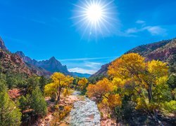 Stany Zjednoczone, Stan Utah, Park Narodowy Zion, Góry Watchman, Rzeka Virgin River, Kamienie, Drzewa, Promienie słońca