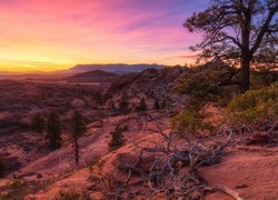 Góry, Drzewa, Zachód słońca, Park Narodowy Zion, Stan Utah, Stany Zjednoczone
