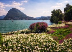 Kwiaty, Jezioro Lugano, Góry, Alpy, Parco Ciani, Szwajcaria