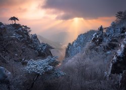 Zima, Góry, Mgła, Drzewa, Przebijające światło, Park prowincjonalny Daedunsan, Jeolla Północna, Korea Południowa