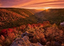 Stany Zjednoczone, Wirginia Zachodnia, Park stanowy Blackwater Falls, Jesień, Drzewa, Wzgórza, Skały, Promienie słońca