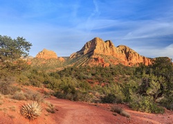 Stany Zjednoczone, Stan Arizona, Park stanowy Red Rock, Czerwone, Skały, Drzewa
