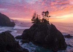 Morze, Skały, Drzewa, Wybrzeże, Wschód słońca, Chmury, Park stanowy, Samuel H Boardman State Scenic Corridor, Oregon, Stany Zjednoczone