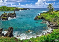Stany Zjednoczone, Hawaje, Wyspa Maui, Park stanowy Waianapanapa, Morze, Skały, Palmy