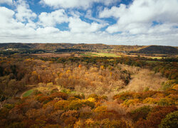 Stany Zjednoczone, Wisconsin, Wildcat Mountain State Park, Jesień, Wzgórza, Las, Pożółkłe, Drzewa, Niebo, Chmury