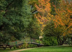 Park, Drzewa, Liście, Jesień, Mostek, Marysville, Stan Wiktoria, Australia