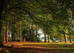 Irlandia, Hrabstwo Monaghan, Castleblayney, Park, Ławeczki, Rzeka