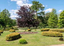 Park w Wiesenburgu