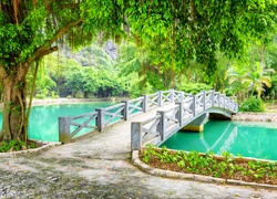 Wietnam, Park, Mostek, Rzeka, Prowincja Ninh Binh,  Drzewo