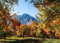 Park z widokiem na góry Karakorum w Pakistanie