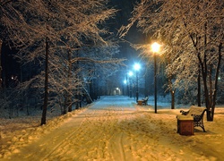 Park zimą wieczorową porą