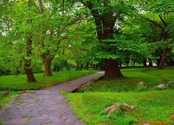 Park