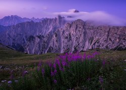 Pasmo górskie Cadini di Misurina we włoskich Dolomitach