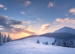 Ukraina, Karpaty, Góry Gorany, Zima, Las, Drzewa, Wschód słońca, Chmury