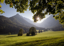 Austria, Styria, Góry, Hochschwabgruppe, Alpy wapienne, Polana, Drzewa, Promienie słońca