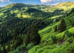 Pasmo górskie Rottenmanner und Wolzer Tauern w Austrii