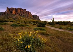 Pasmo górskie Superstition Mountains w Arizonie