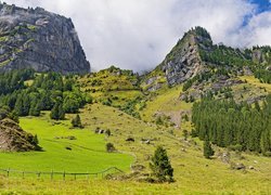 Pastwisko, Ogrodzenie, Skały, Drzewa, Mgła, Przełęcz, Klausenpass, Góry, Alpy Glarneńskie, Szwajcaria