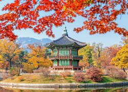 Korea Południowa, Seul, Budowla, Pawilon Hyangwonjeong, Park, Jesień, Drzewa