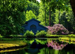 Staw, Park, Paleispark Het Loo, Drzewa, Różanecznik, Pawilon, Budowla, Apeldoorn, Holandia