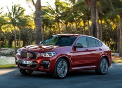 BMW X4, M40d, Droga, Palmy