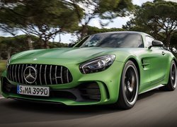 Mercedes-AMG GT R, Coupe