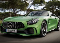 Pędzący Mercedes AMG GT R