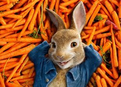 Film, Piotruś Królik, Peter Rabbit, Marchewki, Królik