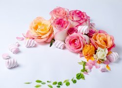 Kolorowe, Kwiaty, Róże, Listki, Pianki