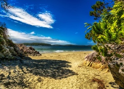Kanada, Kolumbia Brytyjska, Tonquin Park, Plaża Tonquin Beach, Morze, Skały, Drzewa