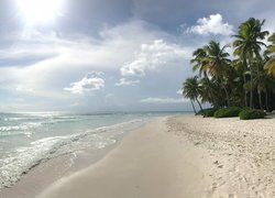 Piaszczysta plaża w Dominikanie