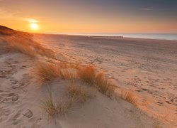 Holandia, Cadzand, Morze Północne, Plaża, Piasek, Wschód słońca