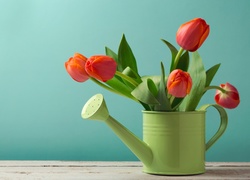 Pięć czerwonych tulipanów w zielonej konewce