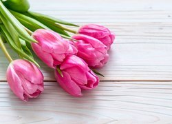 Pięć różowych tulipanów z listkami