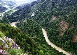 Góry Pieniny, Lasy, Drzewa, Skały, Rzeka Dunajec, Pieniński Przełom Dunajca, Polska