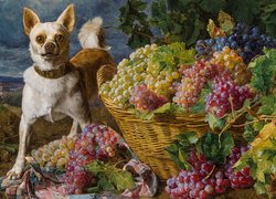 Pies obok kosza z winogronami