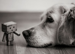 Pies obserwuje kartonowego ludzika Danbo
