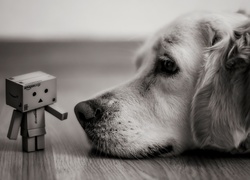 Danbo, Ludzik kartonowy, Pies, Golden retriever, Tło rozmyte, Czarno-białe