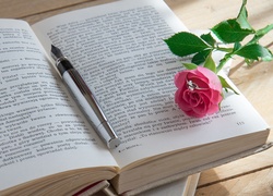 Pióro i róża leżące na stronach książki Mistrz i Małgorzata