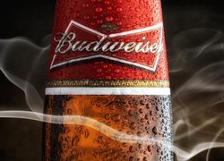 Budweiser